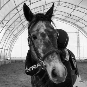 Meet your Posher, Alex